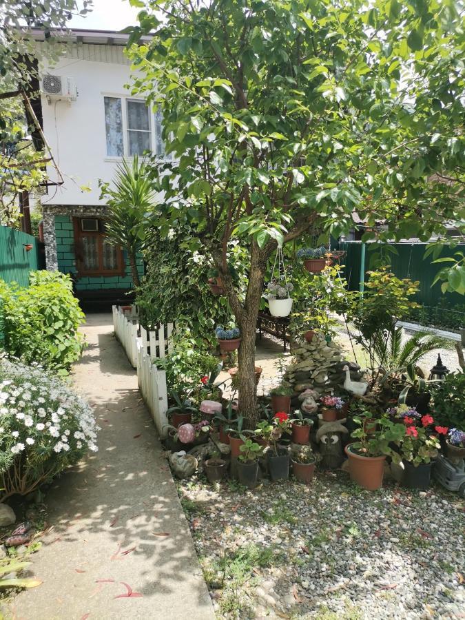 Гостевой Дом В Гаграх"Море Солнца" Gagra Kültér fotó
